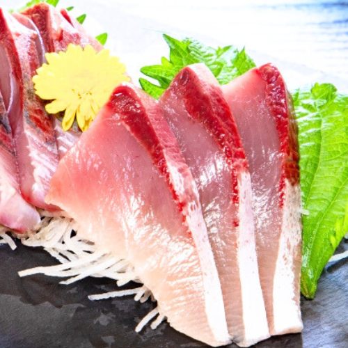 ハマチの美味しい季節です | 有限会社 松輝製網